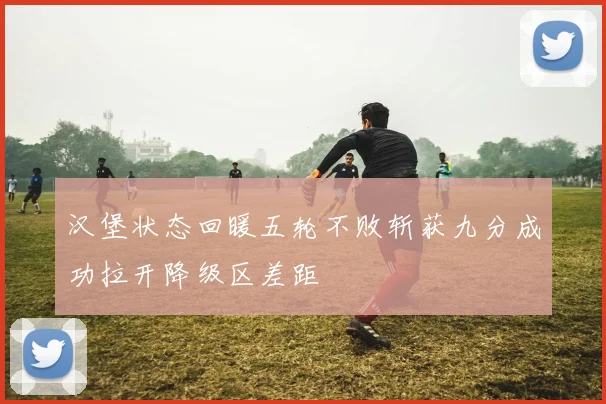 汉堡状态回暖五轮不败斩获九分成功拉开降级区差距